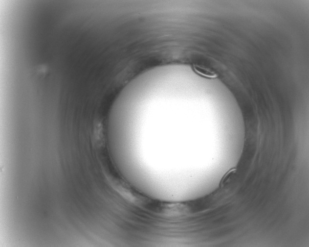 X0000068300087200605051944