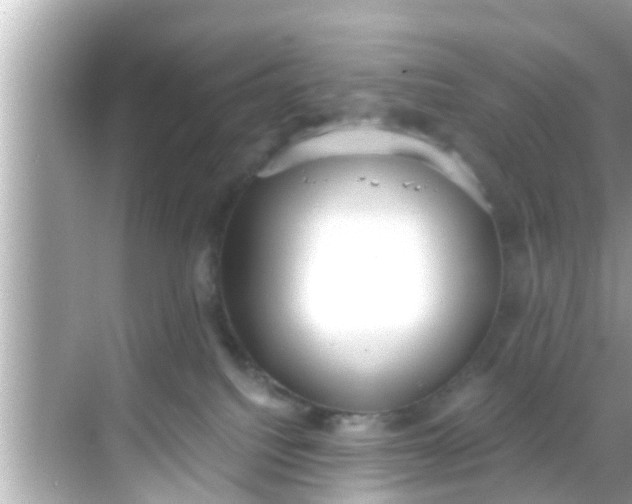 X0000068300088200605051944