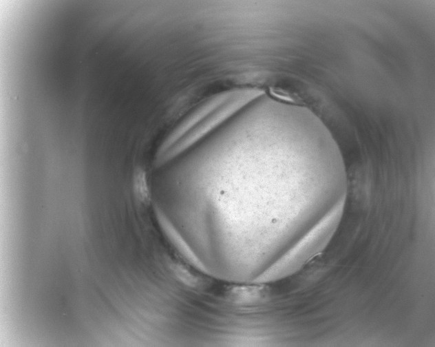 X0000068300089200605051944