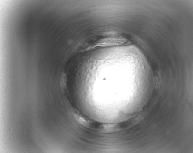 X0000068300093200605051944