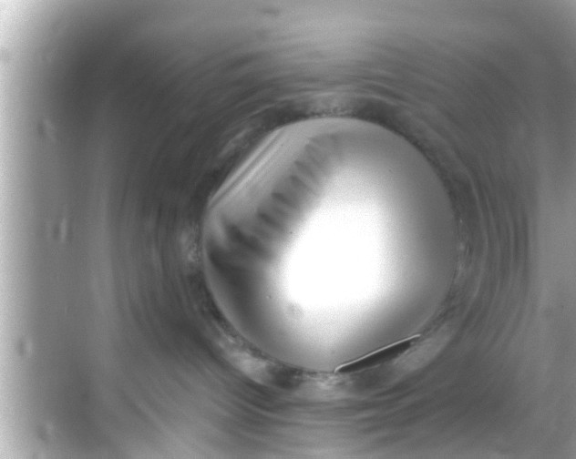 X0000068300096200605051944