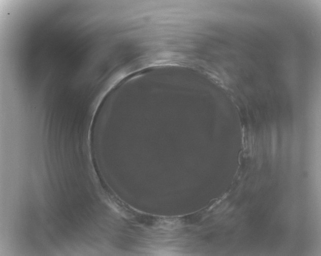 X0000068300099200605051943