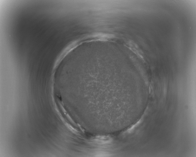 X0000068300101200605051943