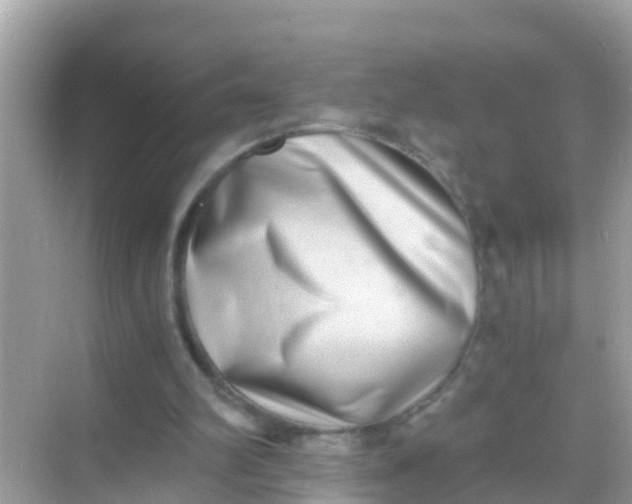 X0000068300102200605051943