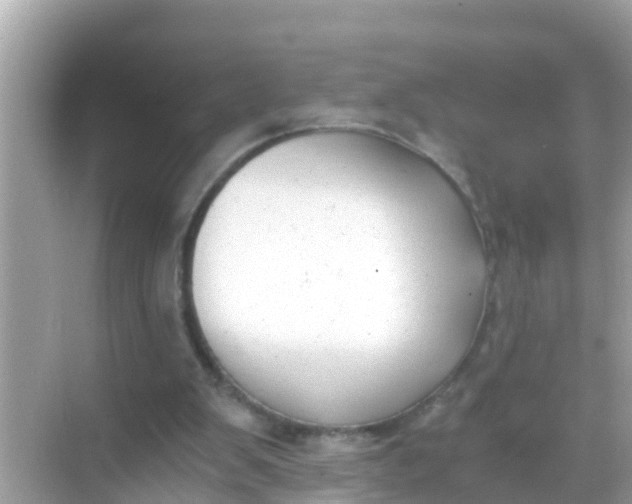 X0000068300103200605051943