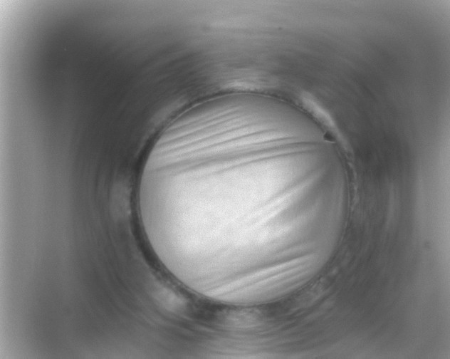 X0000068300106200605051943