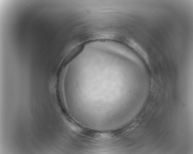 X0000068300107200605051943