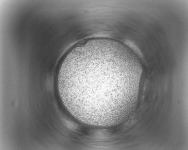 X0000068300108200605051943