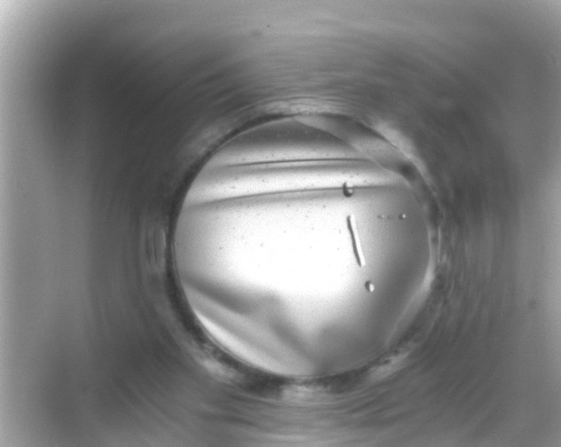 X0000068300109200605051943