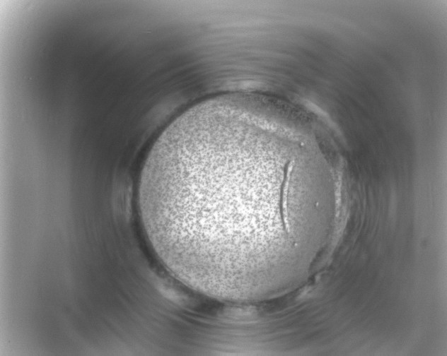 X0000068300110200605051943