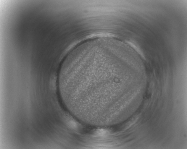 X0000068300111200605051943