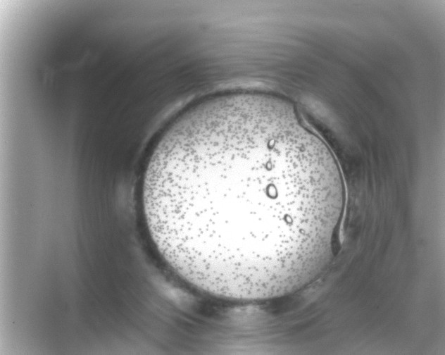 X0000068300112200605051943