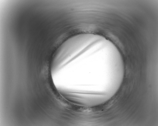 X0000068300113200605051943