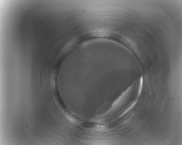 X0000068300114200605051943