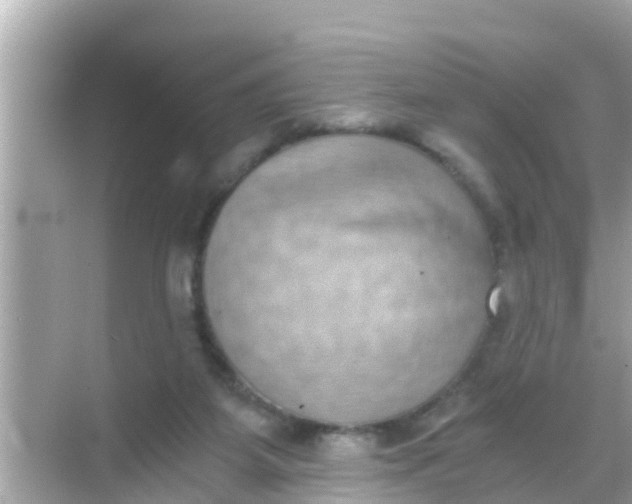 X0000068300115200605051943