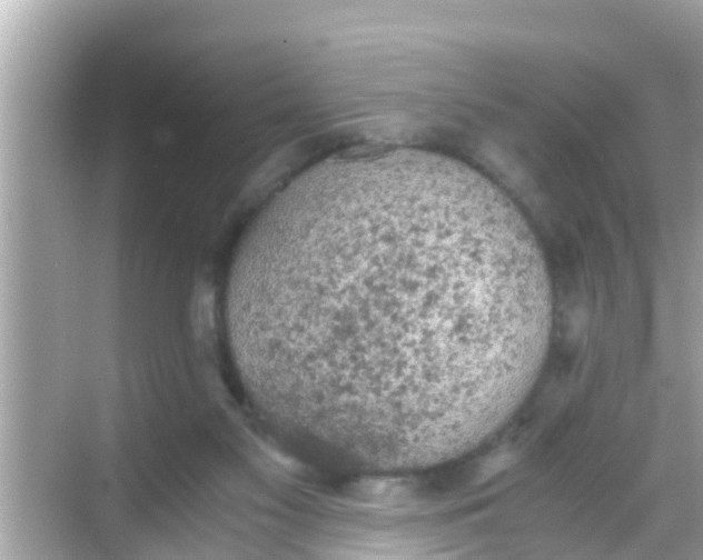 X0000068300117200605051943