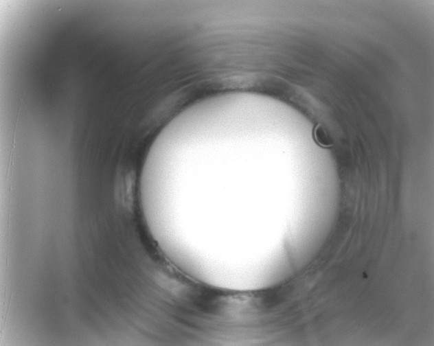 X0000068300118200605051943