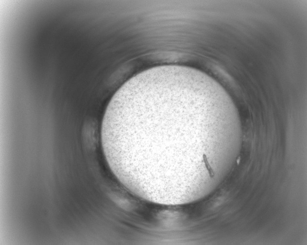 X0000068300119200605051943