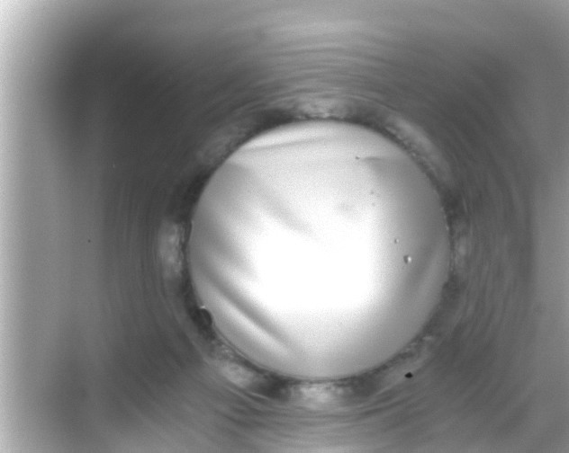 X0000068300121200605051943