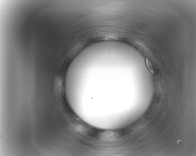 X0000068300123200605051943