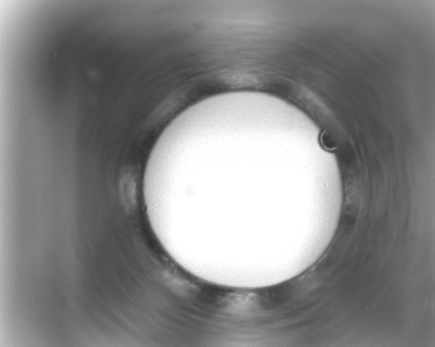 X0000068300124200605051943