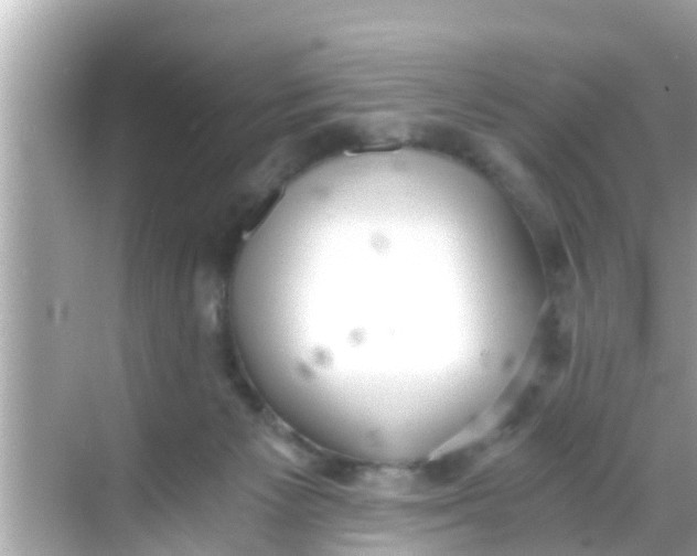 X0000068300125200605051943