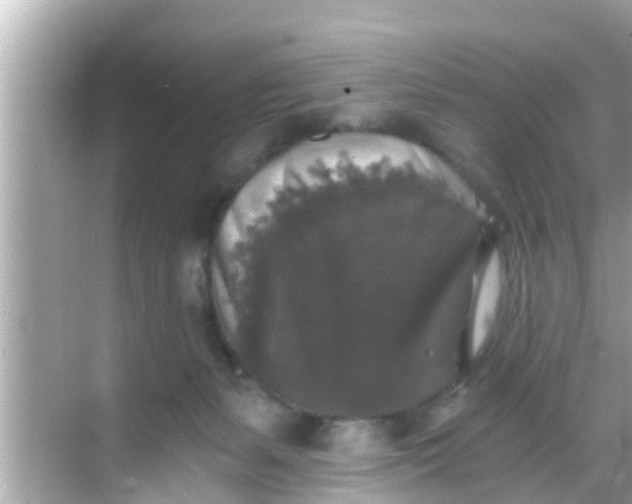 X0000068300127200605051943