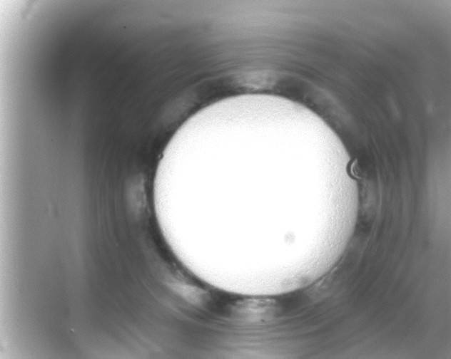 X0000068300128200605051943