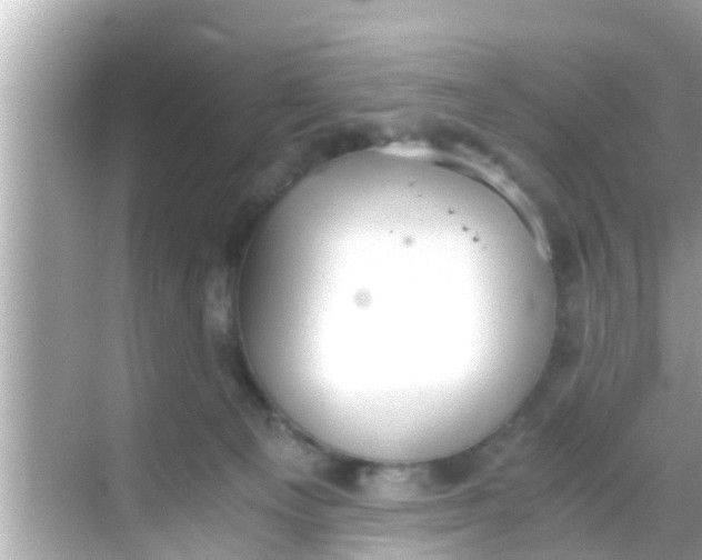 X0000068300129200605051943