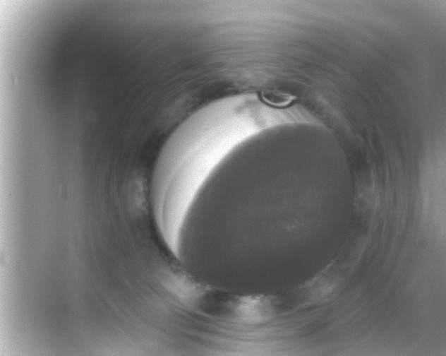 X0000068300130200605051943