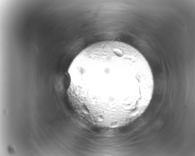 X0000068300131200605051943