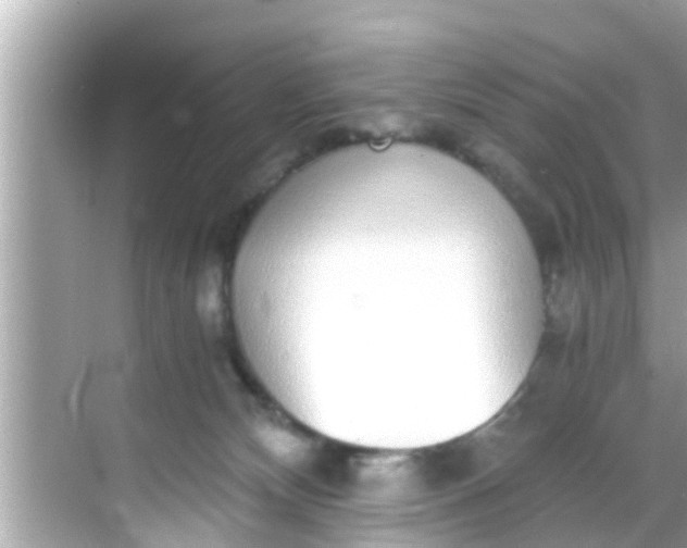 X0000068300132200605051943