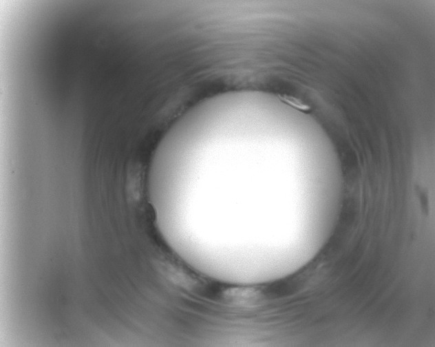 X0000068300133200605051943