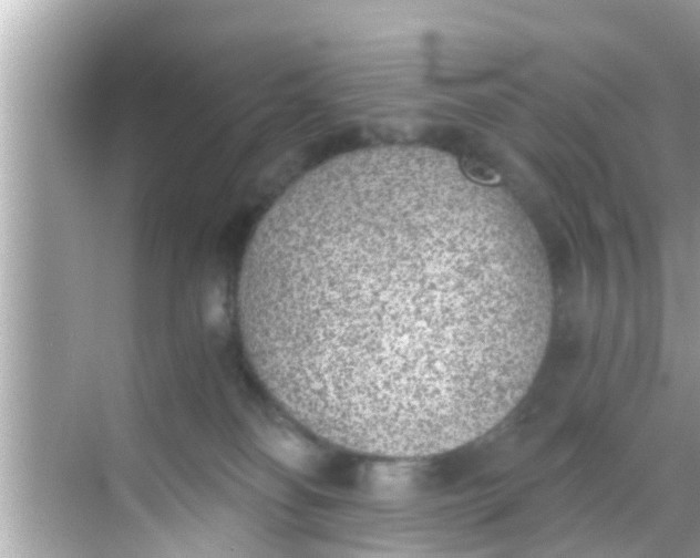 X0000068300134200605051943