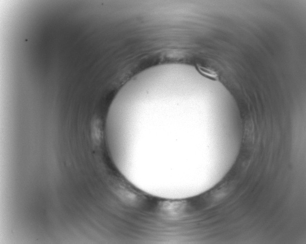 X0000068300135200605051943