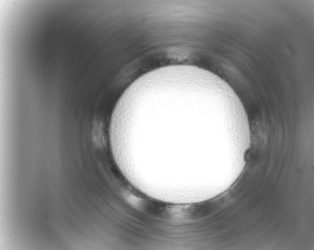 X0000068300136200605051943