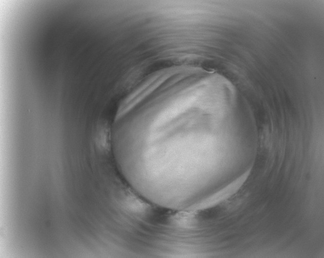 X0000068300138200605051943