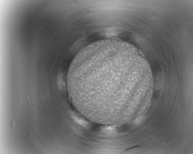 X0000068300140200605051943