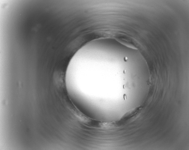 X0000068300141200605051943