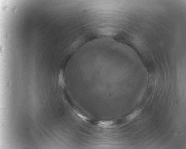 X0000068300143200605051943