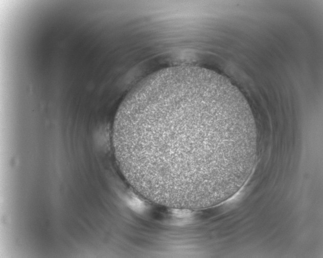 X0000068300144200605051943