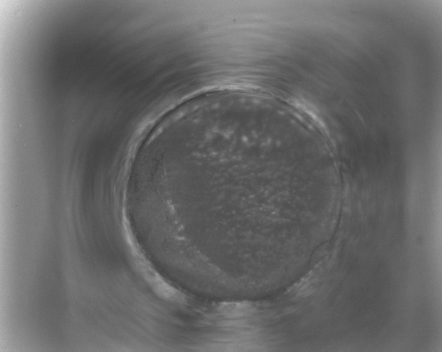 X0000068300145200605051942