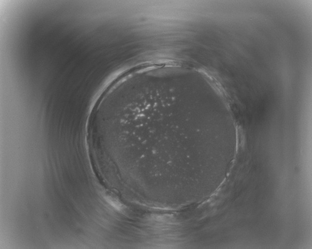 X0000068300147200605051942