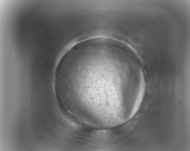 X0000068300152200605051942