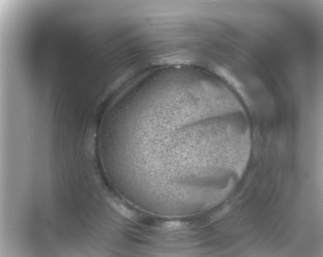 X0000068300153200605051942