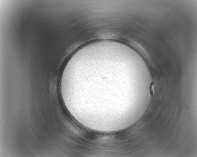 X0000068300155200605051942