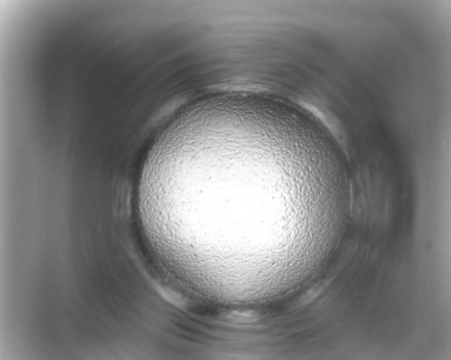 X0000068300157200605051942