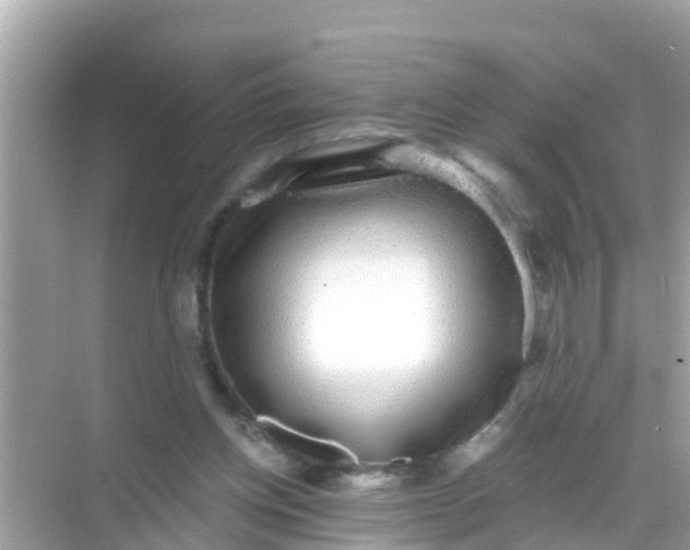 X0000068300158200605051942