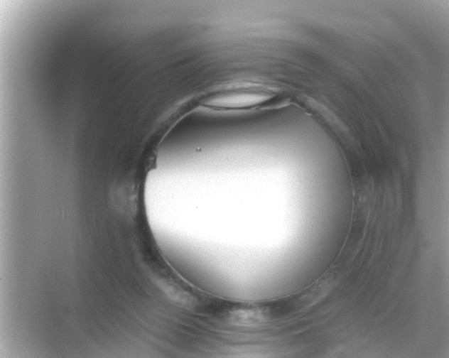 X0000068300160200605051942