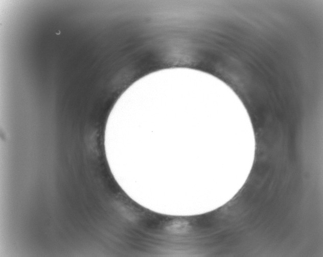 X0000068300162200605051942